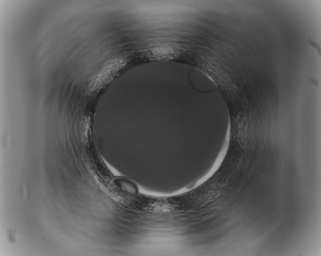 X0000102240742200808221330