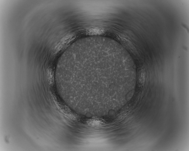 X0000102240743200808221330