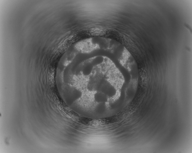 X0000102240745200808221330