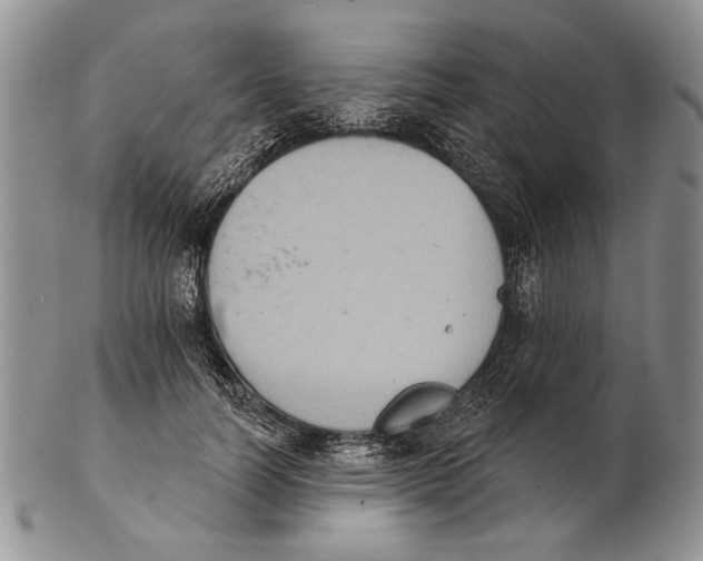 X0000102240746200808221330