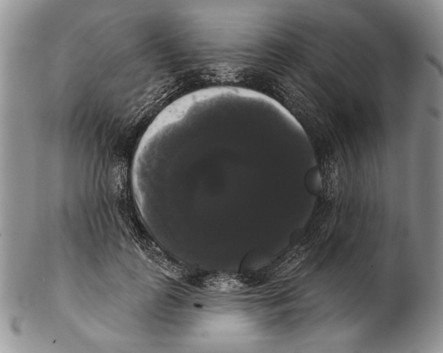 X0000102240747200808221330