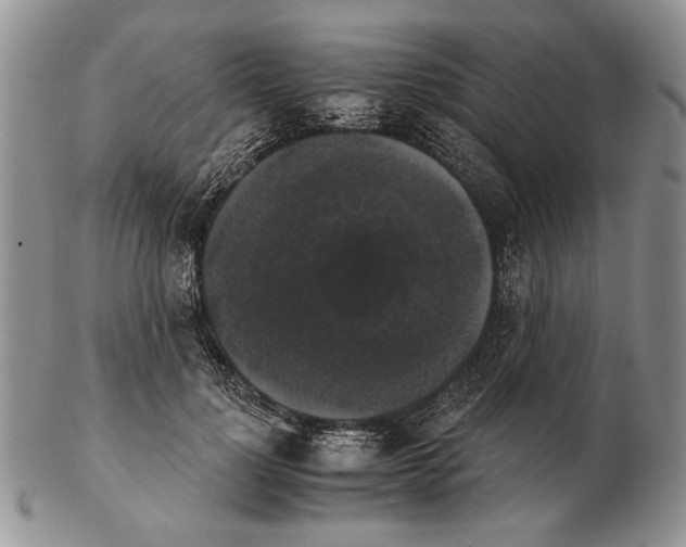 X0000102240748200808221330