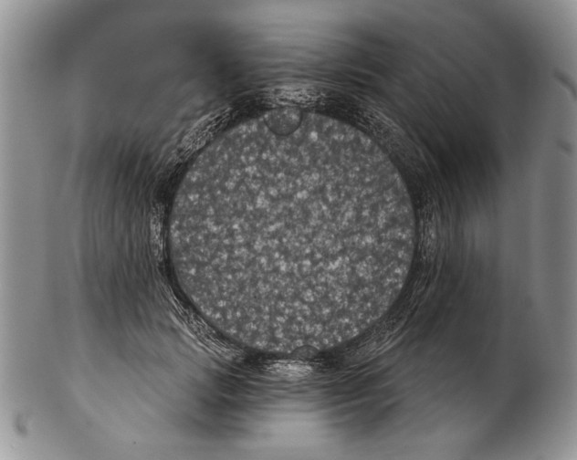 X0000102240749200808221330