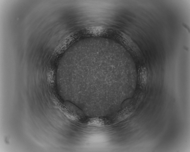 X0000102240750200808221330