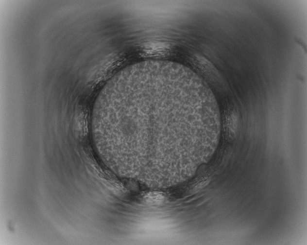 X0000102240751200808221330