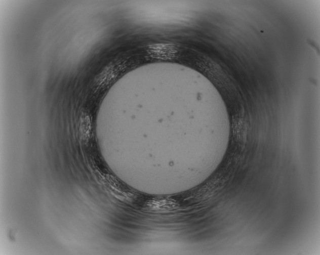 X0000102240752200808221330