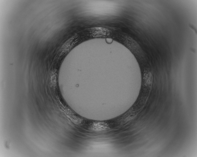 X0000102240753200808221330