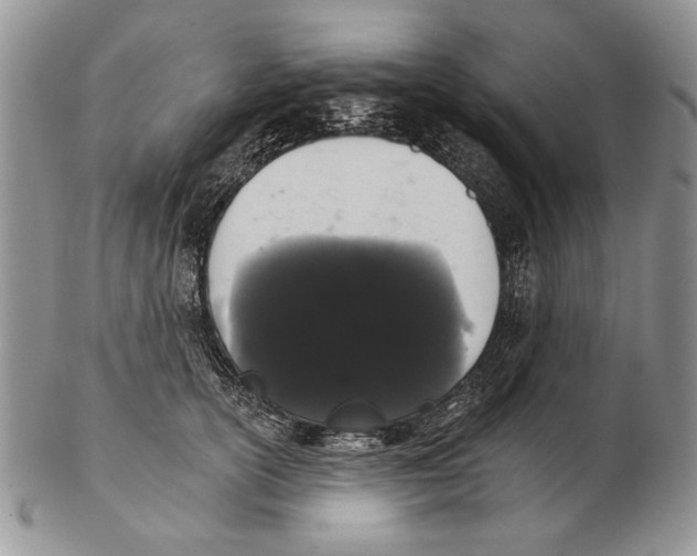 X0000102240754200808221330