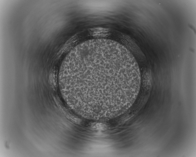 X0000102240755200808221330