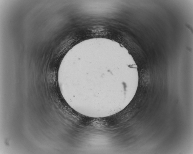 X0000102240756200808221330