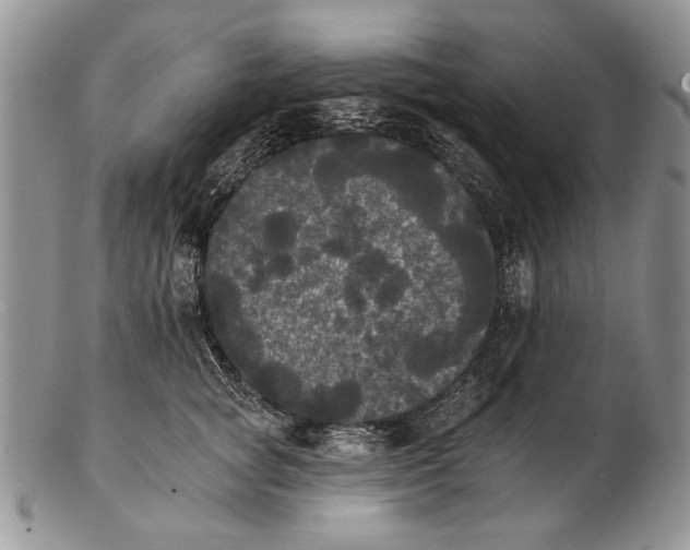 X0000102240757200808221330