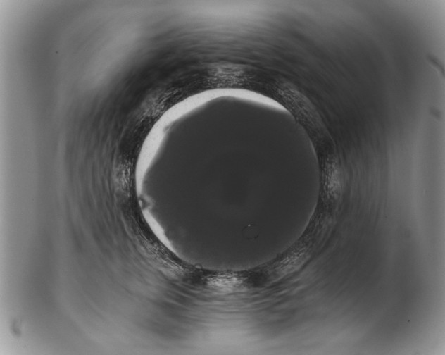 X0000102240759200808221330