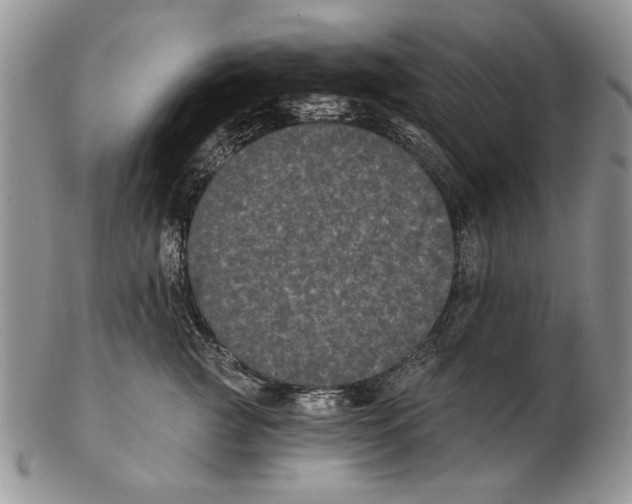 X0000102240761200808221330