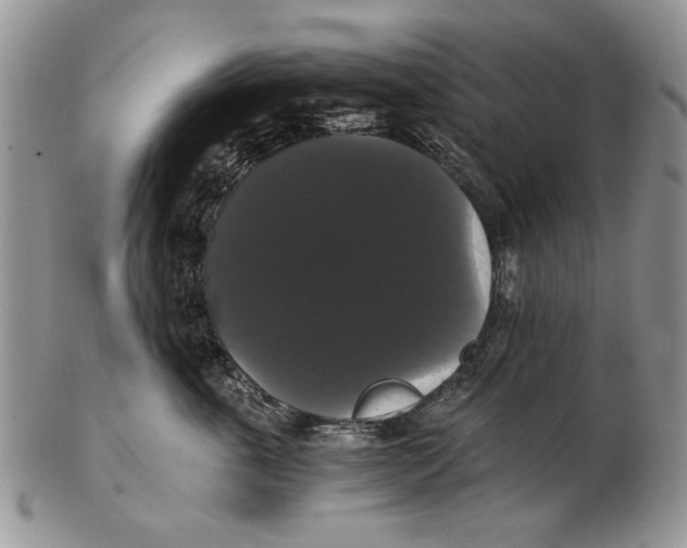 X0000102240763200808221330