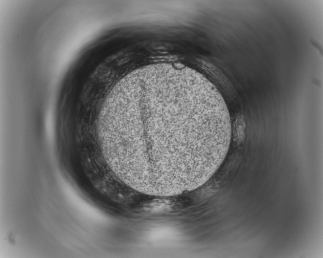 X0000102240764200808221330