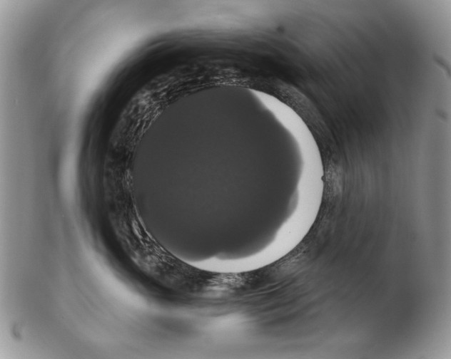 X0000102240765200808221330