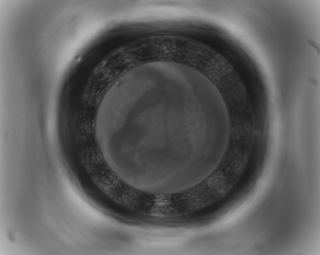 X0000102240766200808221330