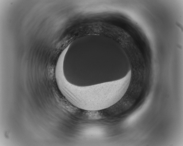 X0000102240767200808221330