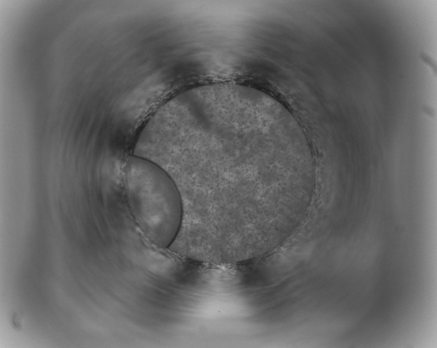 X0000102240768200808221330