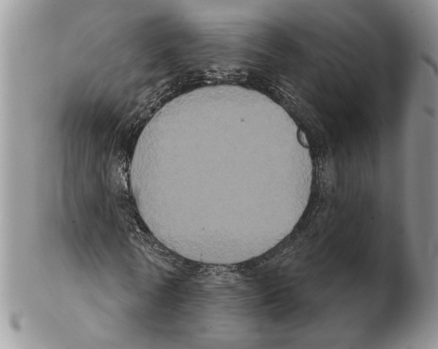 X0000102240770200808221330