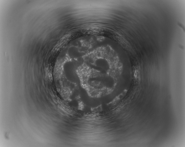 X0000102240771200808221330