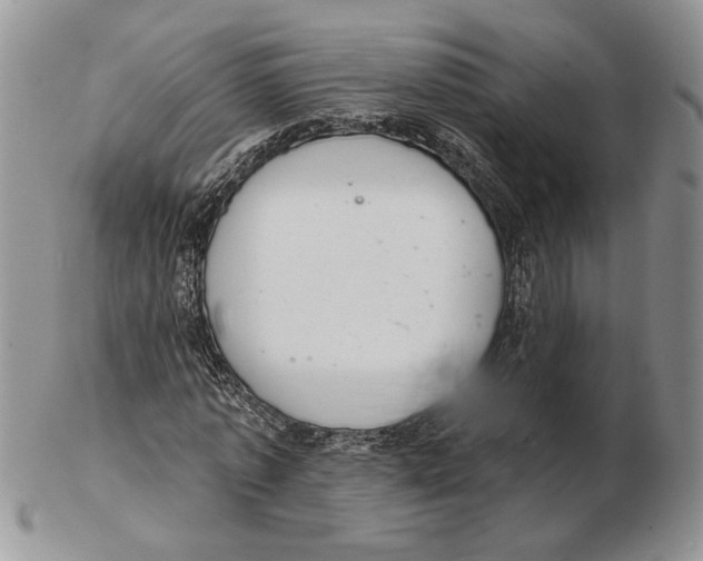 X0000102240773200808221330