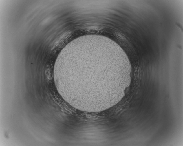 X0000102240774200808221330