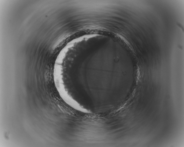 X0000102240775200808221330