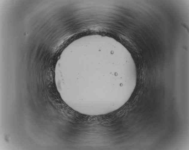 X0000102240776200808221330