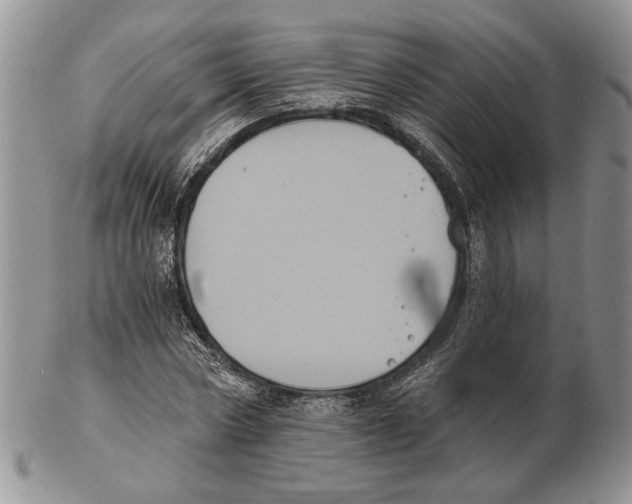 X0000102240778200808221329