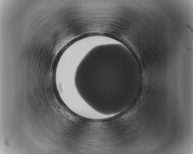 X0000102240779200808221329