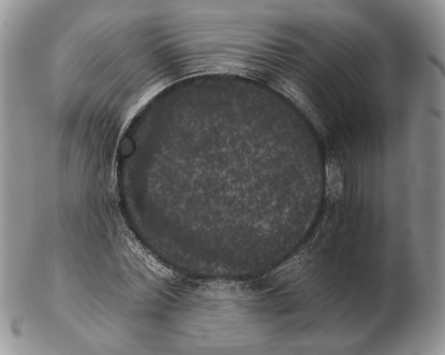 X0000102240780200808221329