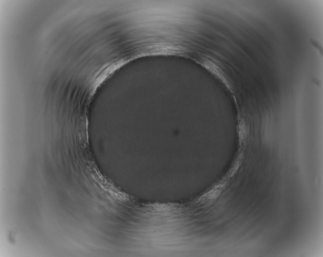 X0000102240781200808221329