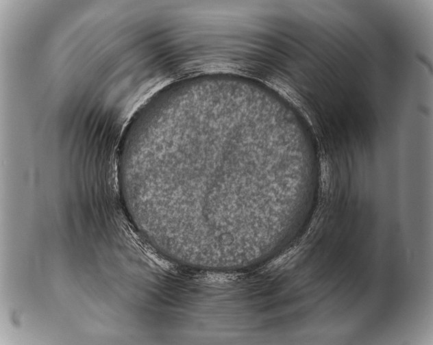 X0000102240782200808221329