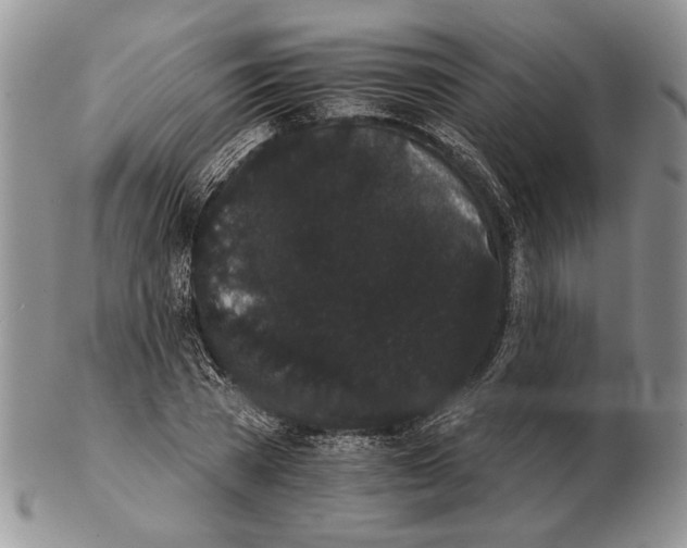 X0000102240785200808221329