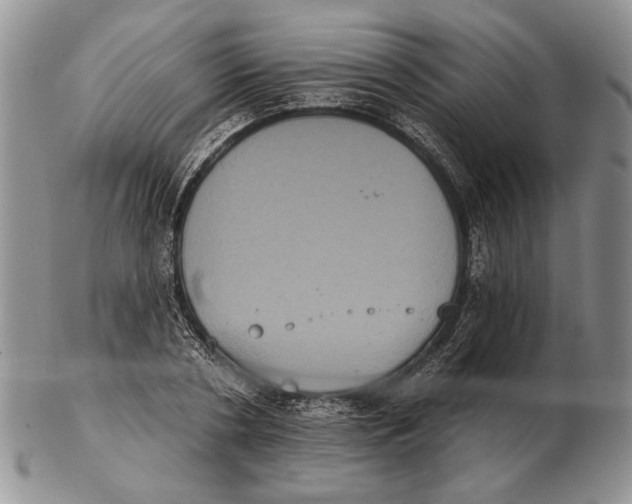 X0000102240786200808221329