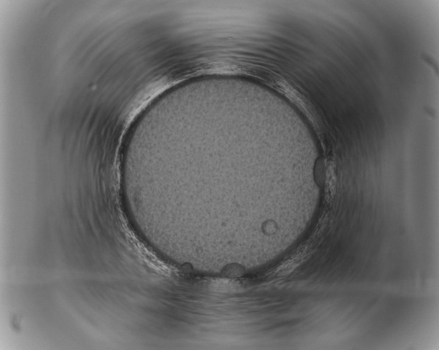 X0000102240787200808221329