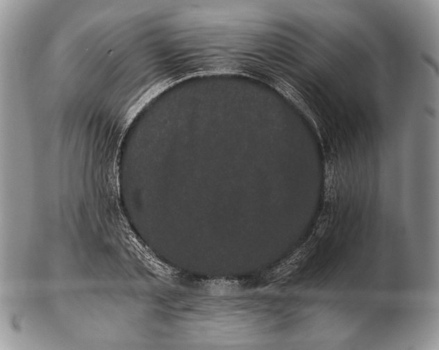 X0000102240789200808221329