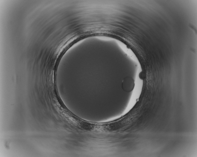 X0000102240790200808221329