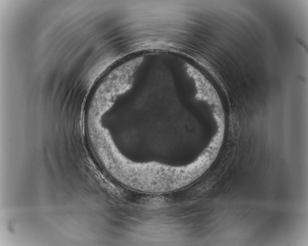 X0000102240791200808221329