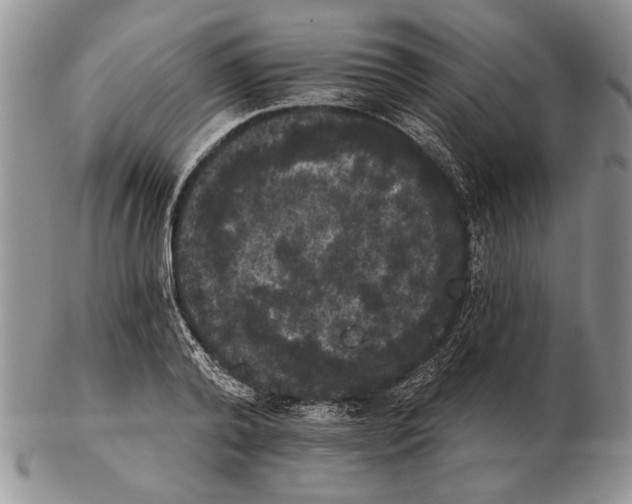 X0000102240792200808221329