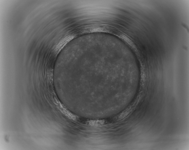 X0000102240793200808221329