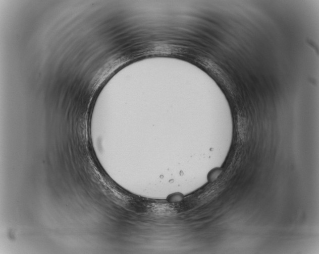 X0000102240794200808221329