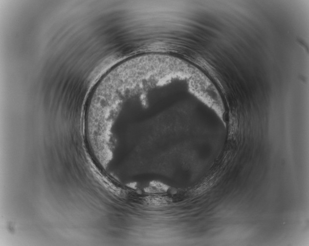 X0000102240795200808221329