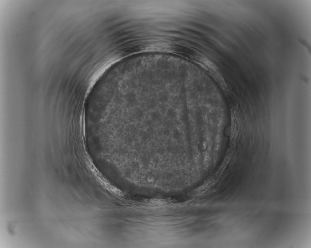 X0000102240796200808221329