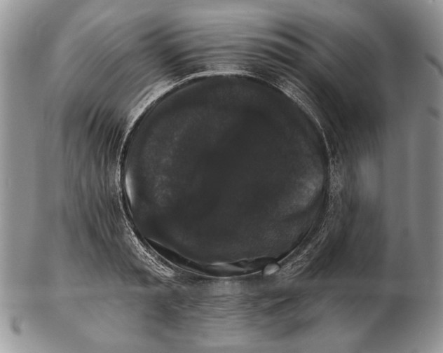 X0000102240797200808221329