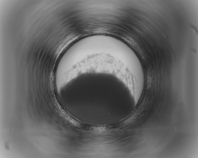 X0000102240798200808221329