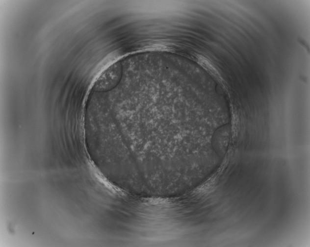 X0000102240800200808221329