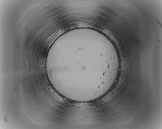 X0000102240801200808221329