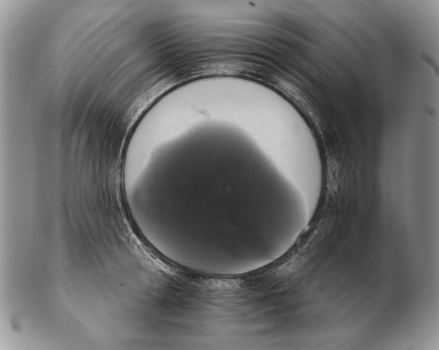 X0000102240802200808221329